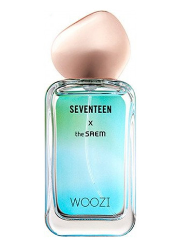 Seventeen X Woozi The SAEM