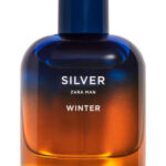 Image for Silver Winter Zara Man Zara