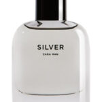 Image for Silver Zara