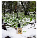 Image for Snowmint Mallow Solstice Scents