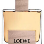 Image for Solo Loewe Cedro Loewe