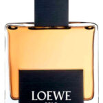Image for Solo Loewe Loewe