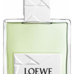 Image for Solo Loewe Origami Loewe