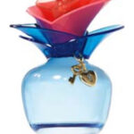 Image for Someday Summer Edition Justin Bieber