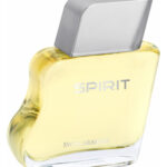 Image for Spirit Swiss Arabian