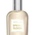 Image for Spring Bloom Brocard
