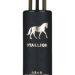 Image for Stallion CZAR