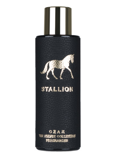 Stallion CZAR