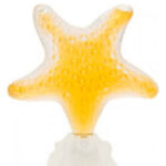 Image for Star Sensual Amber Seajewels