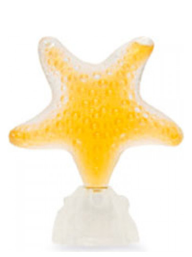 Star Sensual Amber Seajewels