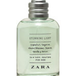 Image for Stunning Light Zara