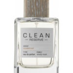 Image for Sueded Oud Clean