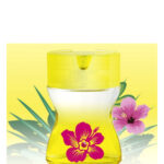 Image for Sun & Love Parfums Love Love