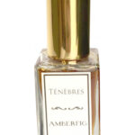 Image for Ténèbres Amberfig