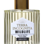 Image for Terra Incognita Wild Life Brocard