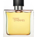 Image for Terre d’Hermes Parfum Hermès