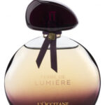 Image for Terre de Lumière Intense L’Occitane en Provence