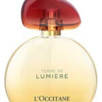 Image for Terre de Lumiere L’Occitane en Provence