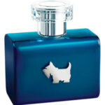 Image for Terrier Blue Ferrioni