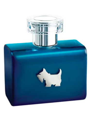 Terrier Blue Ferrioni