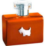 Image for Terrier Orange Ferrioni