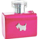 Image for Terrier Pink Ferrioni