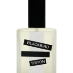 Image for Triton Blackbird