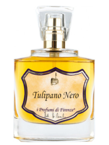 Tulipano Nero I Profumi di Firenze