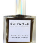 Image for Twelve Keys Soivohle