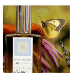 Image for Un Soir d’ete Provencal DSH Perfumes