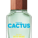 Image for United Dreams Green Cactus For Him Benetton