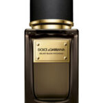 Image for Velvet Black Patchouli Dolce&Gabbana