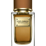 Image for Velvet Exotic Leather Dolce&Gabbana