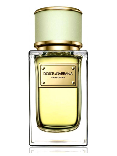 Velvet Pure Dolce&Gabbana