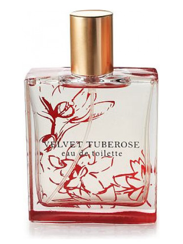 Velvet Tuberose Bath & Body Works