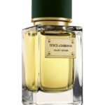 Image for Velvet Vetiver Dolce&Gabbana