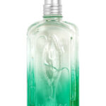 Image for Verveine Fleur de Carotte L’Occitane en Provence