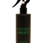 Image for WINDSOR AMBIENT Toni Cabal