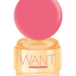 Image for Want Pink Ginger DSQUARED²