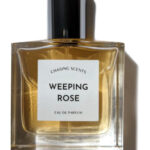Image for Weeping Rose Chasing Scents