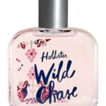 Image for Wild Chase Hollister