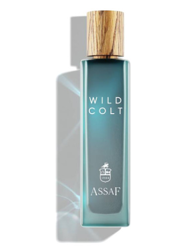 Wild Colt Assaf