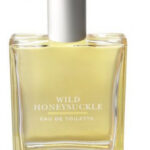 Image for Wild Honeysuckle Bath & Body Works