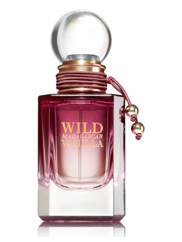 Wild Madagascar Vanilla Bath & Body Works