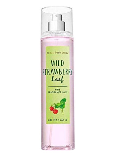 Wild Strawberry Leaf Bath & Body Works