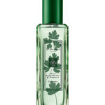 Image for Wild Strawberry & Parsley Jo Malone London