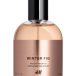 Image for Winter Fig H&M