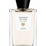 Image for Wonder Of You ALTAIA