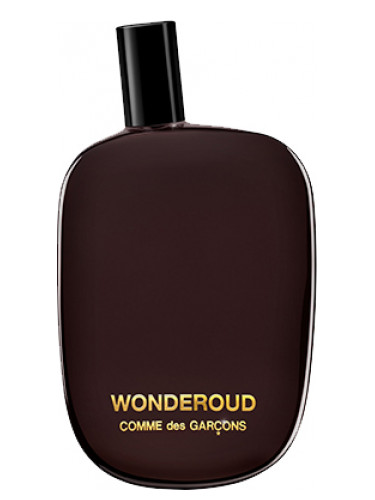 Wonderoud Comme des Garcons