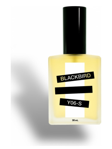 Y06-S Blackbird